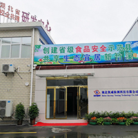 湖北金年会 金字招牌诚信至上